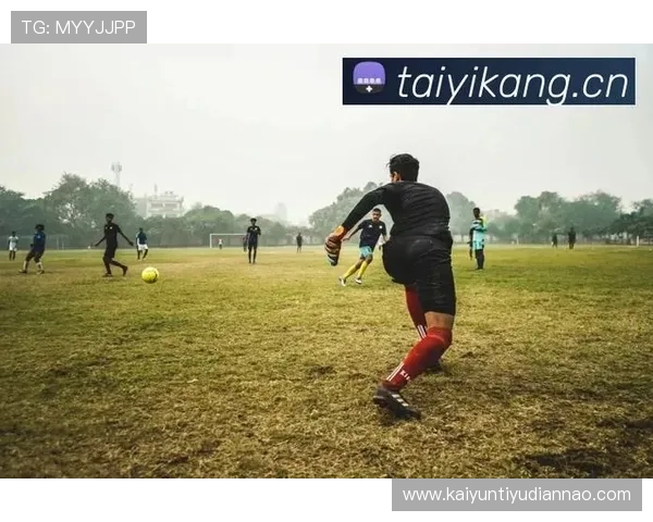 开云体育入口登录步骤指南，帮助新手快速掌握登录技巧