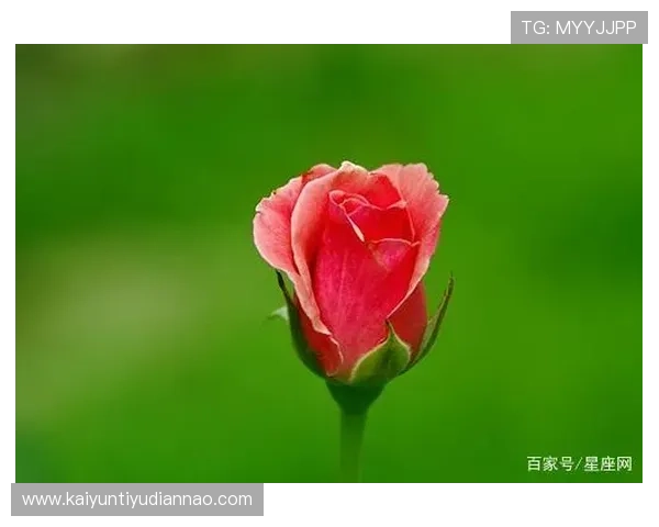 探索开运网页版的多种功能让你的每日运势更加顺畅