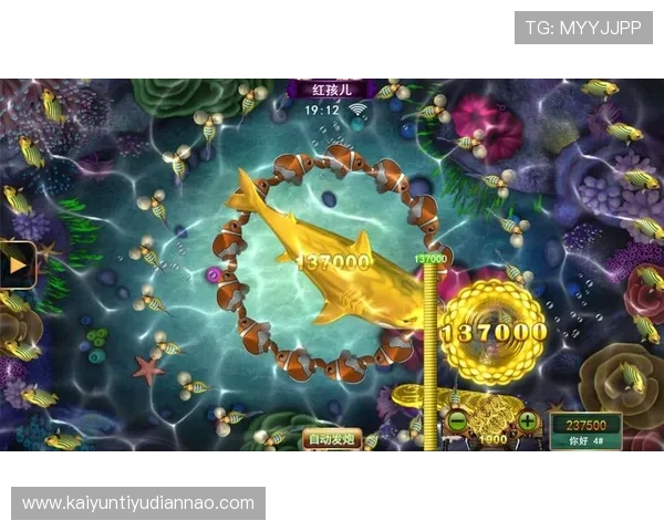 全面解析Kaiyun开云滚球盘的操作流程与实用策略提升你的投注成功率